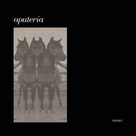 Cubierta de aputería: tres figuras de cabeza de caballo en negro