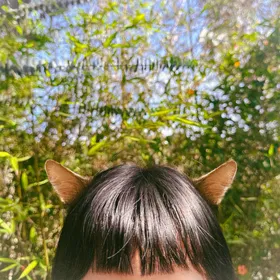 Cubierta de capul: la parte superior de una cabeza de pelo oscuro con orejas de gato, contra hojas verdes