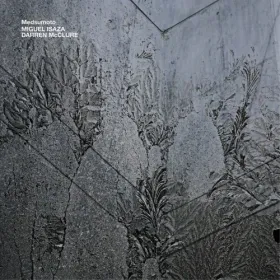 Portada de Medsumoto: terreno gris agrietado