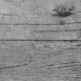 Portada de Mushotoku: veta de madera desgastada