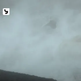 Cubierta de Rizoma: niebla sobre una cresta oscura