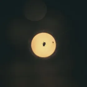 Cubierta de Soliloquio: un disco brillante en la oscuridad